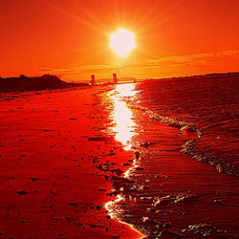 Meet your Posher, OrangeJune